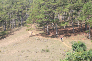 Giải Siêu Marathon Quốc tế Dalat Ultra Trail và Giải xe đạp địa hình Da Lat Victory Challenge 2018 tại Vườn Quốc Gia Bidoup Núi Bà